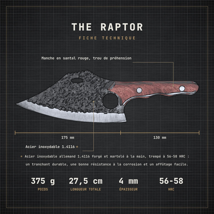 Fiche technique du couteau The Raptor : lame 17,5 cm, manche 13 cm, 4 mm, 375 g, acier inoxydable 1.4116, 56-58 HRC